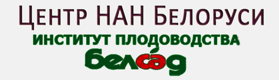 Беларусь НИИ